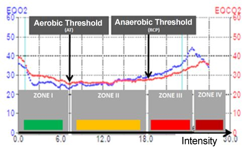 Training zones, aerobic and anaerobic threshold graphed during a spiroergometric performance tests