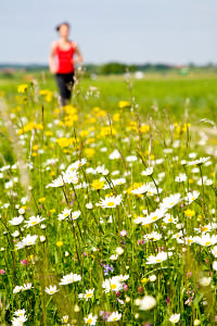 Trügerische Idylle: Für Läuferinnen und Läufer mit Pollenallergie
